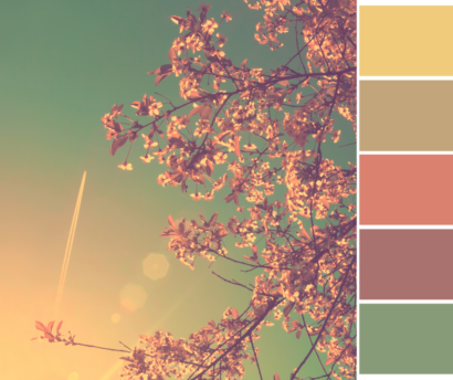 saison de couleurs