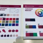 Nuancier Harmonies ESR Personal Color Analysis